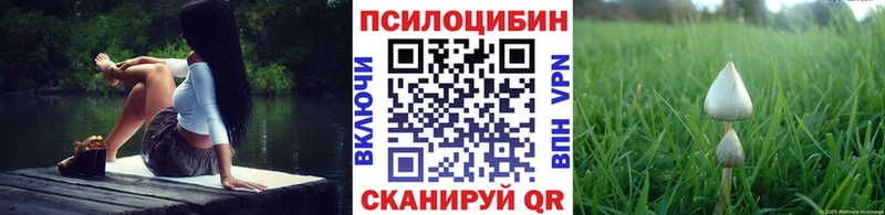 Псилоцибиновые грибы Magic Shrooms даркнет состав Верхняя Пышма